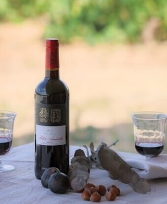 Solar Amézola 2015