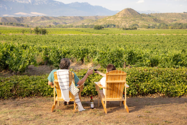Veladas de Verano Wine Garden Amézola ( no incluye visita) - Imagen 3