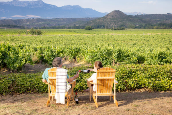 Veladas de Verano Wine Garden Amézola ( no incluye visita) - Imagen 4