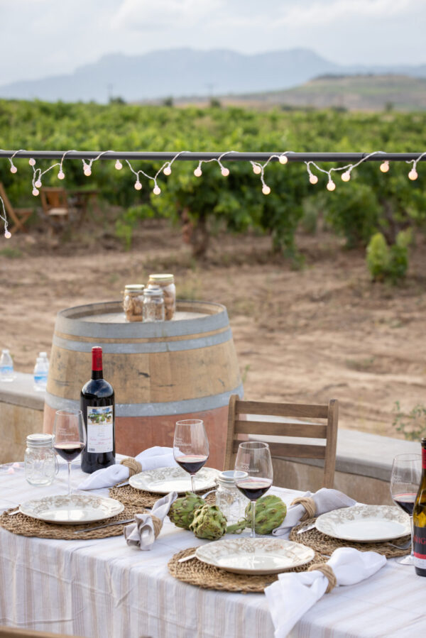 Veladas de Verano Wine Garden Amézola ( no incluye visita) - Imagen 2