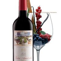 botella de viña amezola con copa y frutos rojos