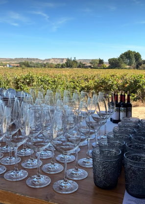 vist ade la bodega con botellas de rioja