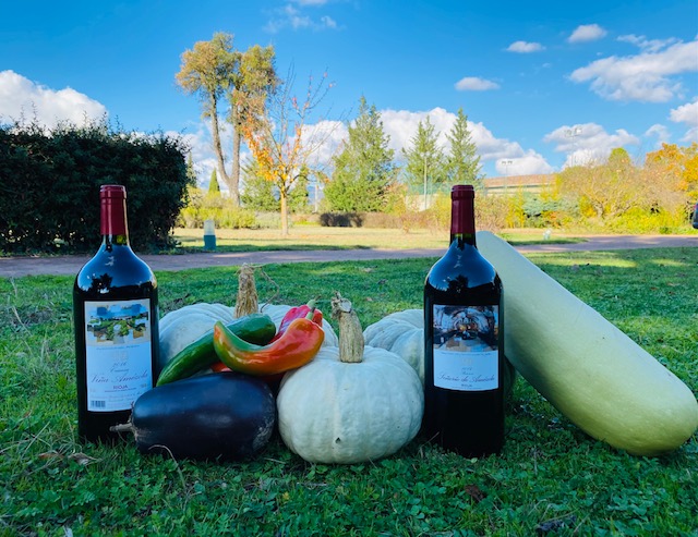 botella de vino y verduras de temporada de otoño