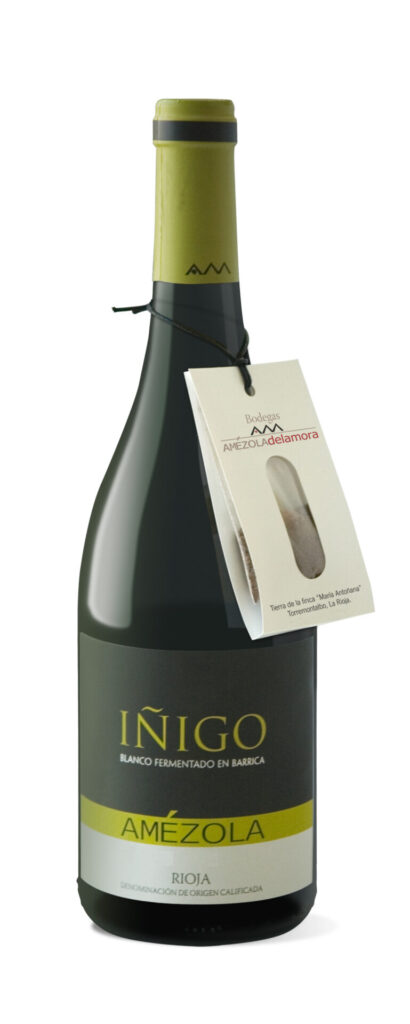 Iñigo Amezola Blanco 2010